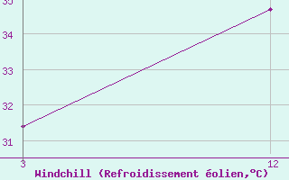 Courbe du refroidissement olien pour Bir