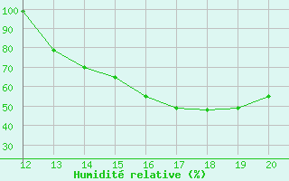 Courbe de l'humidit relative pour Rurrenabaque
