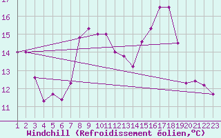 Courbe du refroidissement olien pour Weihenstephan