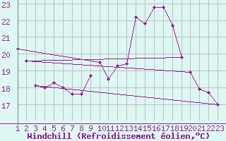 Courbe du refroidissement olien pour Kleine-Brogel (Be)