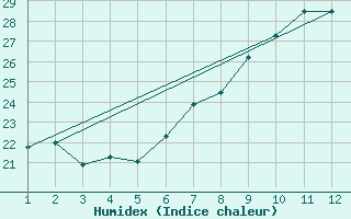 Courbe de l'humidex pour Springbok