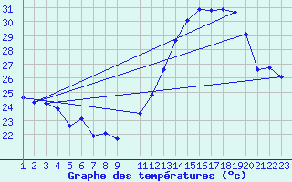 Courbe de tempratures pour Ibaiti