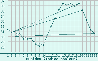 Courbe de l'humidex pour Ibaiti