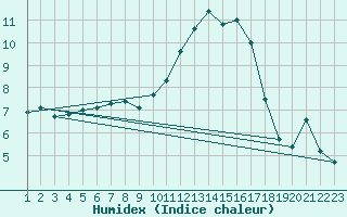 Courbe de l'humidex pour Curtea De Arges