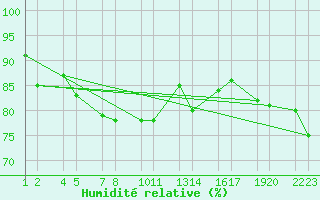 Courbe de l'humidit relative pour Reykjanesbraut