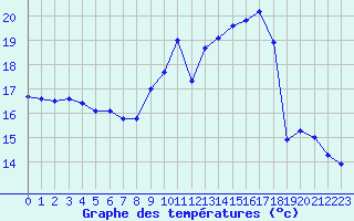 Courbe de tempratures pour Muret (31)