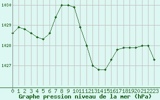 Courbe de la pression atmosphrique pour Sion (Sw)