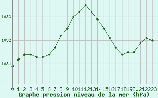 Courbe de la pression atmosphrique pour Lemberg (57)