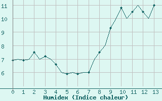 Courbe de l'humidex pour Shannon Airport