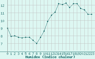 Courbe de l'humidex pour Choue (41)