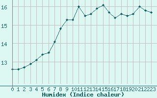 Courbe de l'humidex pour Wilhelminadorp Aws