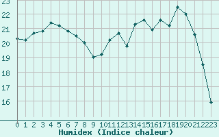 Courbe de l'humidex pour Romorantin (41)