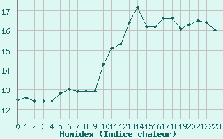 Courbe de l'humidex pour Lyon - Bron (69)