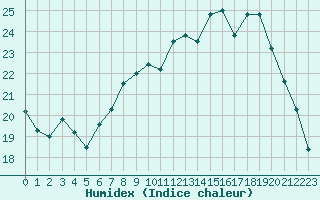 Courbe de l'humidex pour Cavalaire-sur-Mer (83)