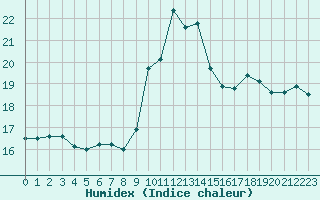 Courbe de l'humidex pour Alicante