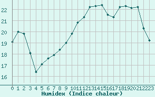 Courbe de l'humidex pour Angers-Marc (49)