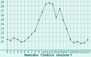 Courbe de l'humidex pour Ponza