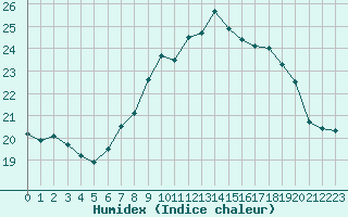 Courbe de l'humidex pour Salzburg / Freisaal