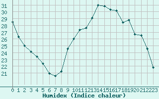 Courbe de l'humidex pour Perpignan (66)