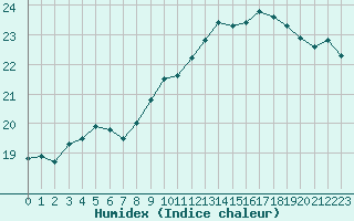 Courbe de l'humidex pour Pointe de Chassiron (17)