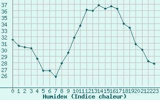 Courbe de l'humidex pour Grasque (13)