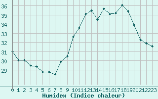 Courbe de l'humidex pour Ile Rousse (2B)