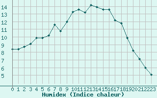 Courbe de l'humidex pour Hallhaaxaasen