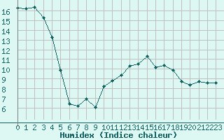 Courbe de l'humidex pour Jan (Esp)