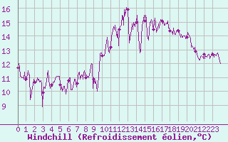 Courbe du refroidissement olien pour Le Talut - Belle-Ile (56)