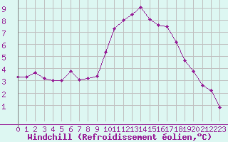 Courbe du refroidissement olien pour Hoek Van Holland
