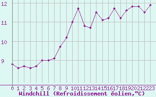 Courbe du refroidissement olien pour Quimper (29)