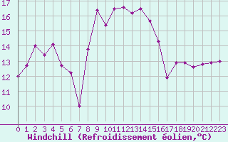 Courbe du refroidissement olien pour Le Talut - Belle-Ile (56)
