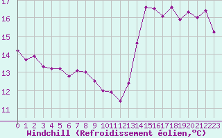 Courbe du refroidissement olien pour Cap Sagro (2B)