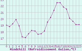 Courbe du refroidissement olien pour Cavalaire-sur-Mer (83)