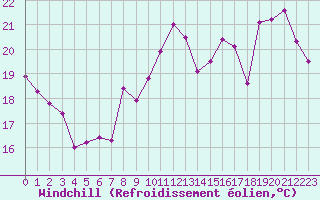 Courbe du refroidissement olien pour Leucate (11)