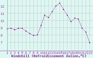 Courbe du refroidissement olien pour Brignogan (29)