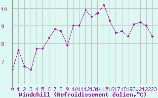 Courbe du refroidissement olien pour Hoek Van Holland