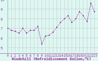 Courbe du refroidissement olien pour Kleine-Brogel (Be)