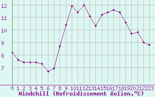 Courbe du refroidissement olien pour Capelle aan den Ijssel (NL)