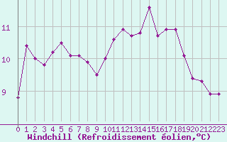Courbe du refroidissement olien pour Machichaco Faro